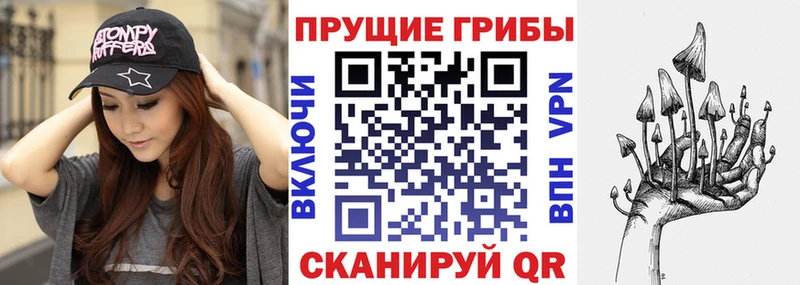 Псилоцибиновые грибы прущие грибы  Поронайск 